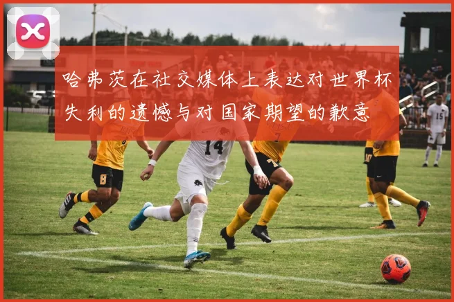 哈弗茨在社交媒体上表达对世界杯失利的遗憾与对国家期望的歉意